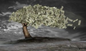 L'albero dei soldi